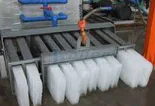 ice plant