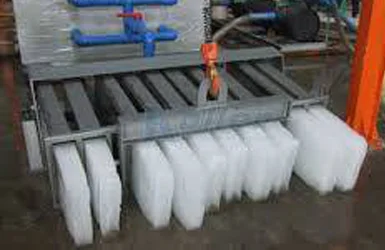 Ice Plant