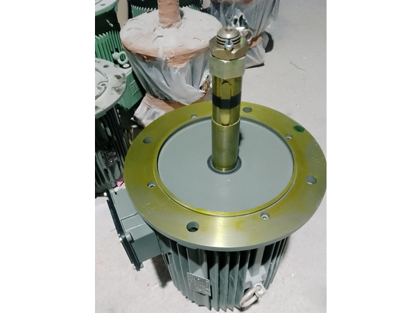 Direct-coupled gear motor for cooling tower